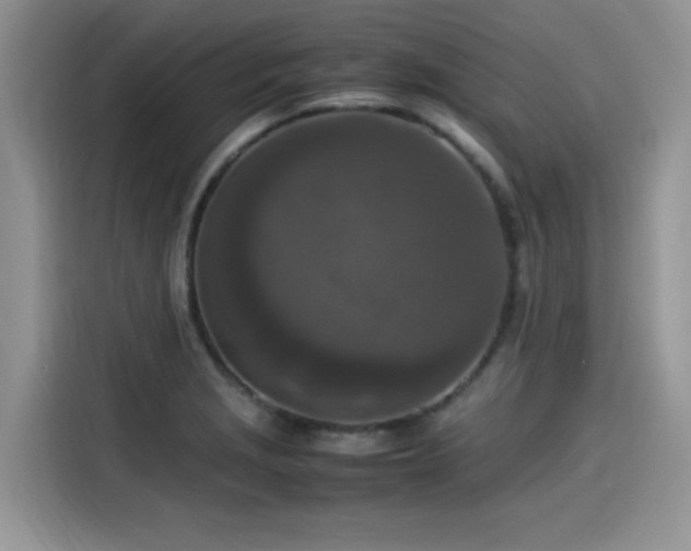 X0000115541229200911131537