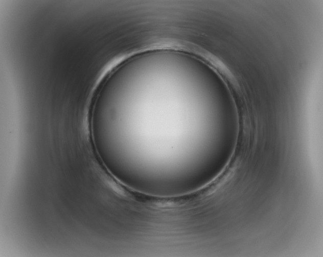 X0000115541230200911131537