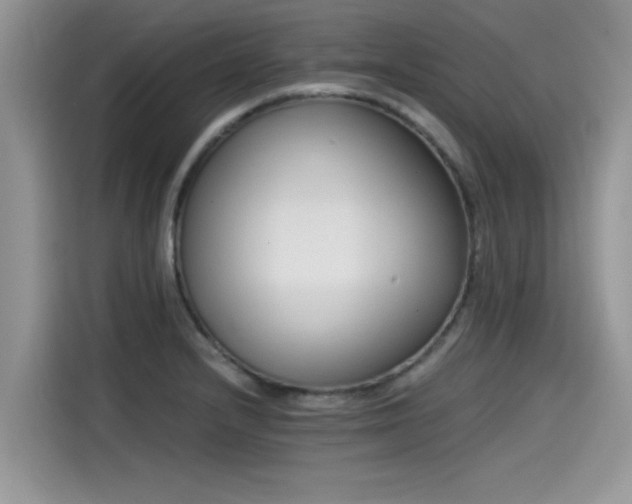 X0000115541232200911131537