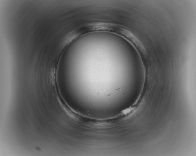 X0000115541233200911131537