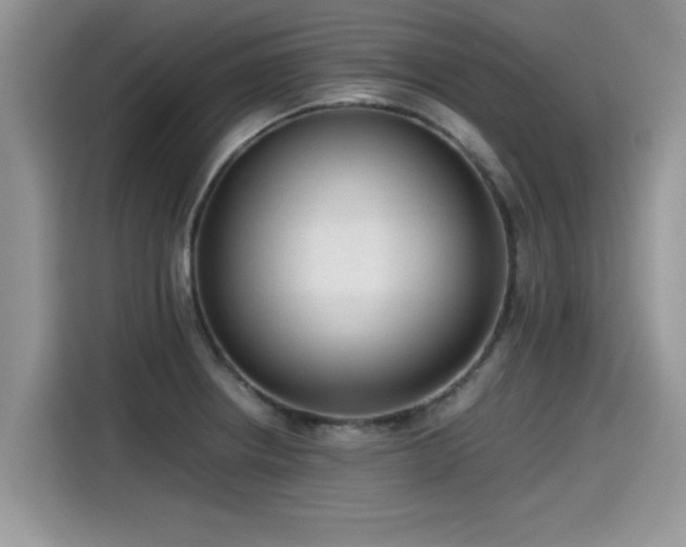 X0000115541234200911131538