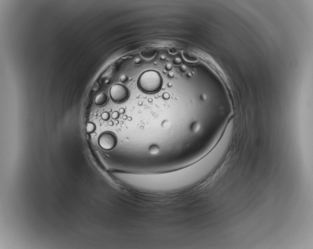 X0000115541235200911131538