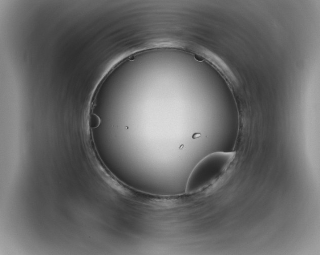 X0000115541236200911131538