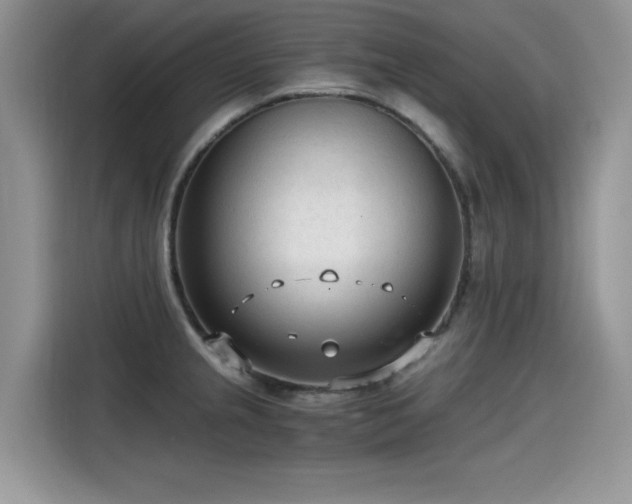 X0000115541237200911131538