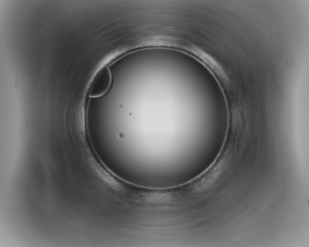 X0000115541238200911131538