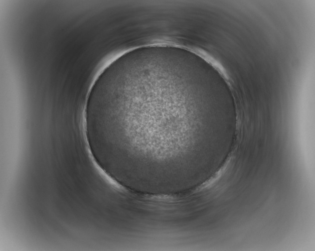 X0000115541239200911131538