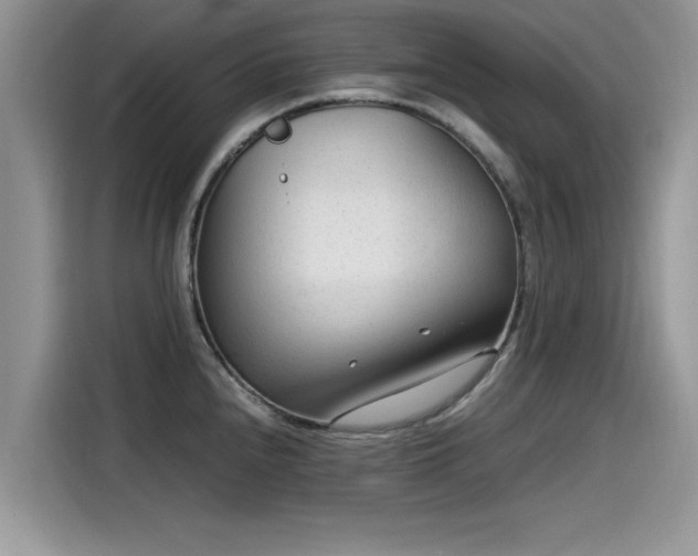 X0000115541240200911131538