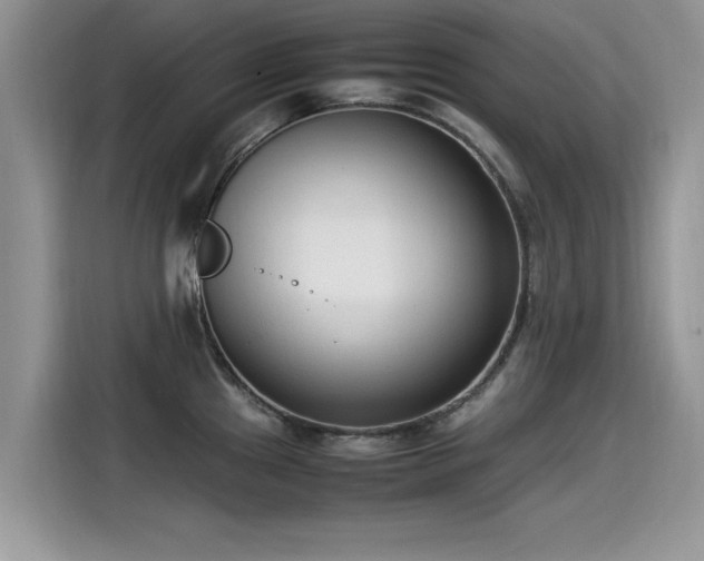 X0000115541241200911131538