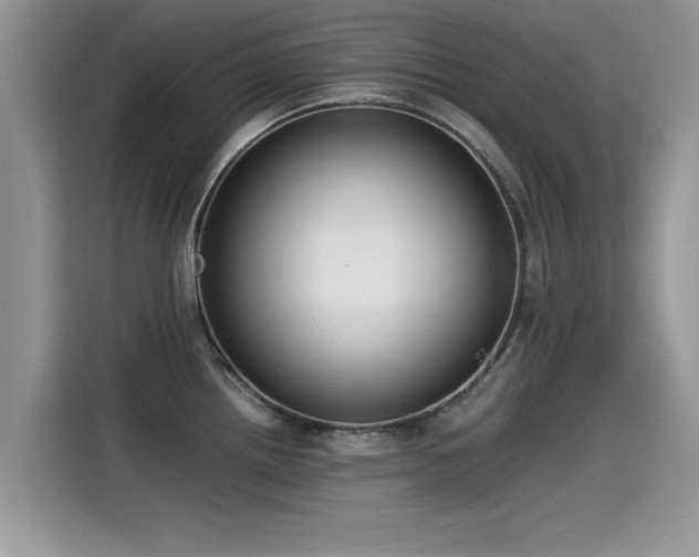 X0000115541242200911131538