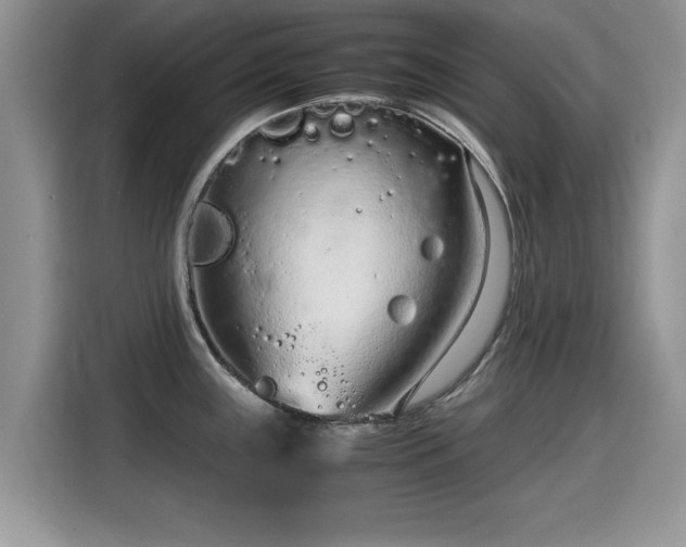 X0000115541243200911131538