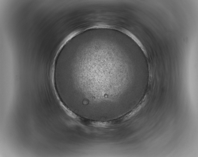 X0000115541245200911131538