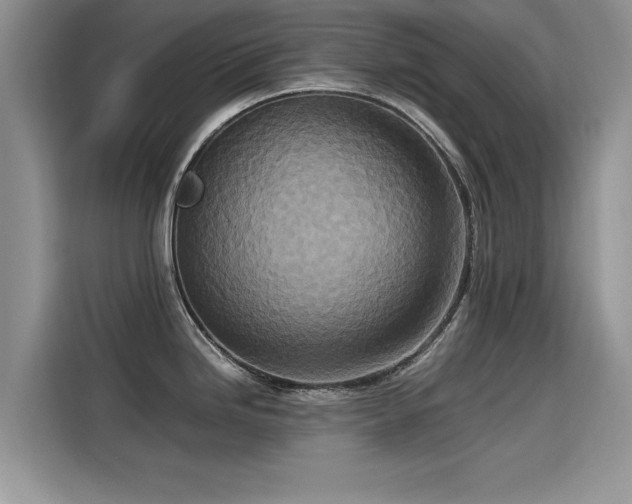 X0000115541246200911131538