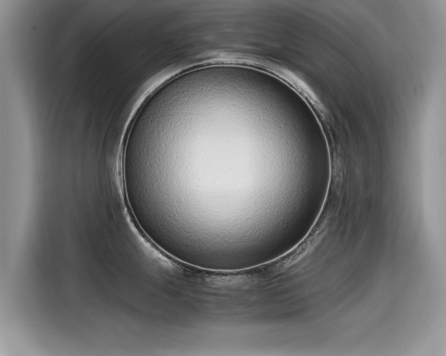 X0000115541247200911131538