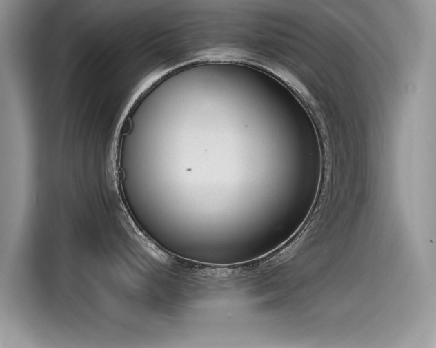 X0000115541248200911131538