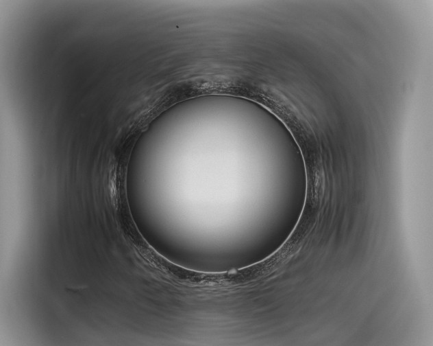 X0000115541250200911131537