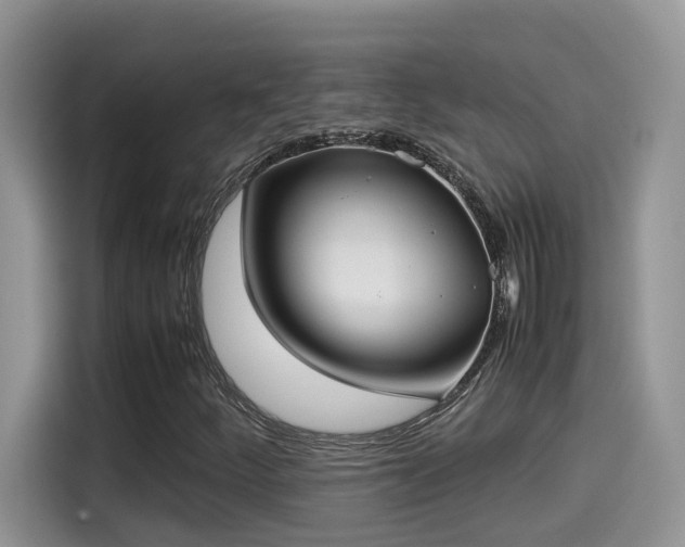 X0000115541252200911131537