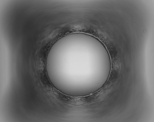 X0000115541253200911131537