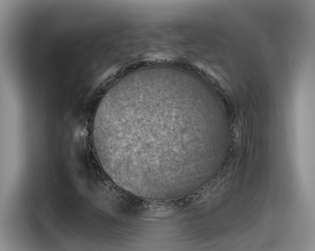 X0000115541254200911131537