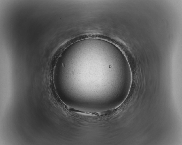 X0000115541255200911131537