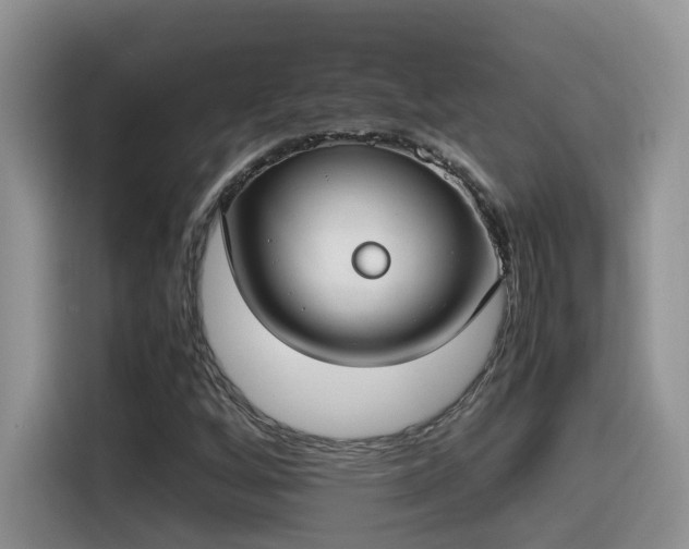 X0000115541256200911131537