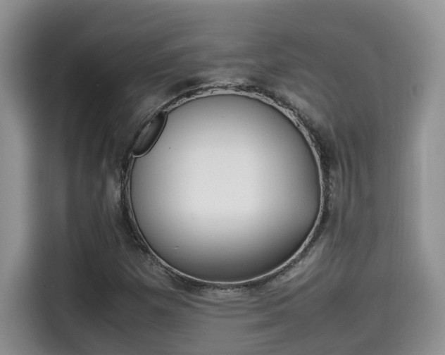 X0000115541257200911131537