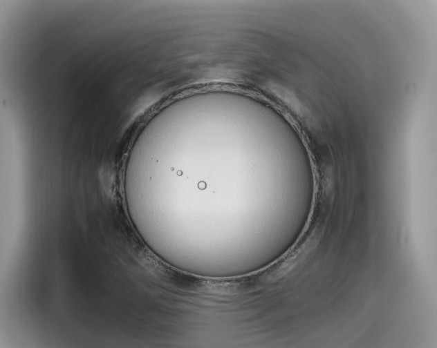 X0000115541258200911131537