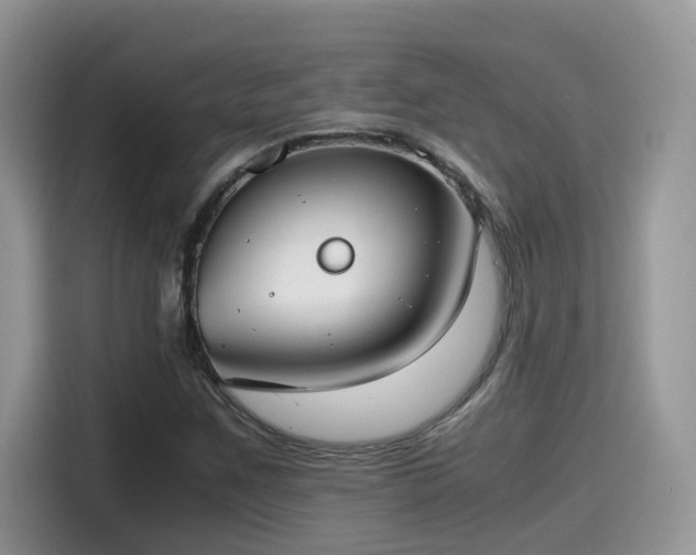 X0000115541259200911131537