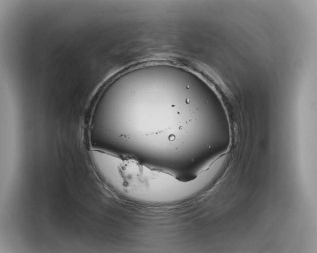 X0000115541260200911131537