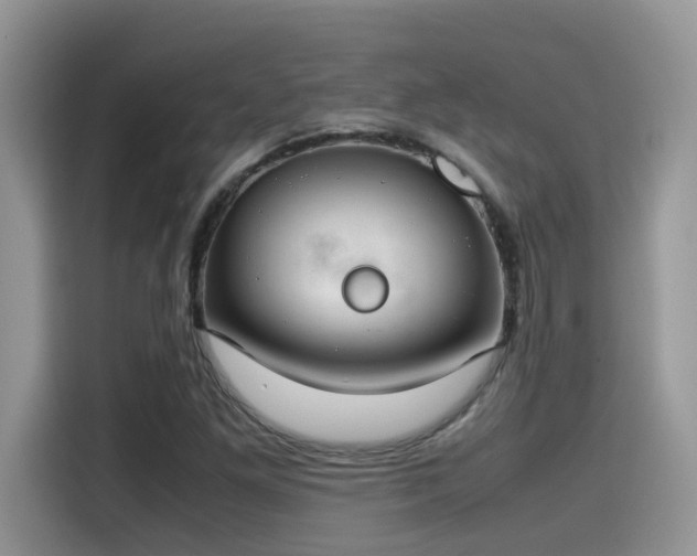 X0000115541261200911131537