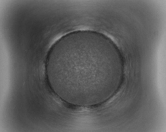 X0000115541263200911131537