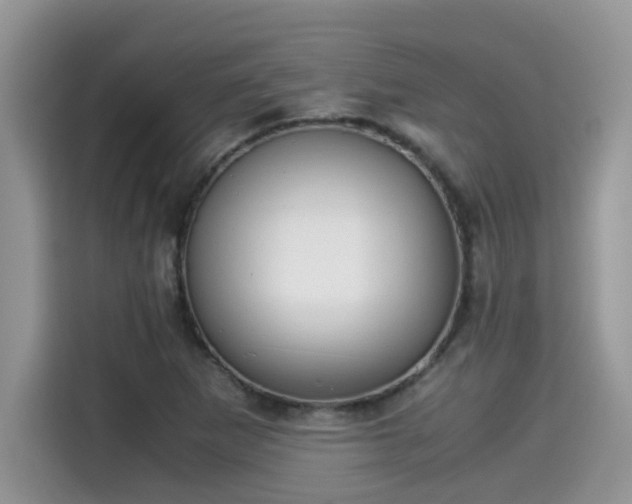 X0000115541265200911131537