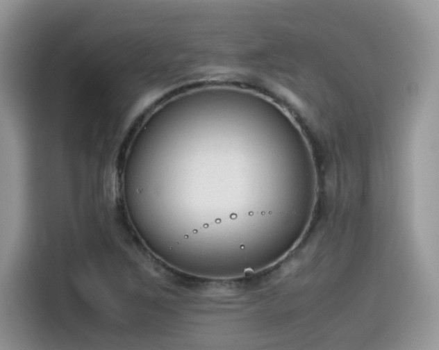 X0000115541267200911131537