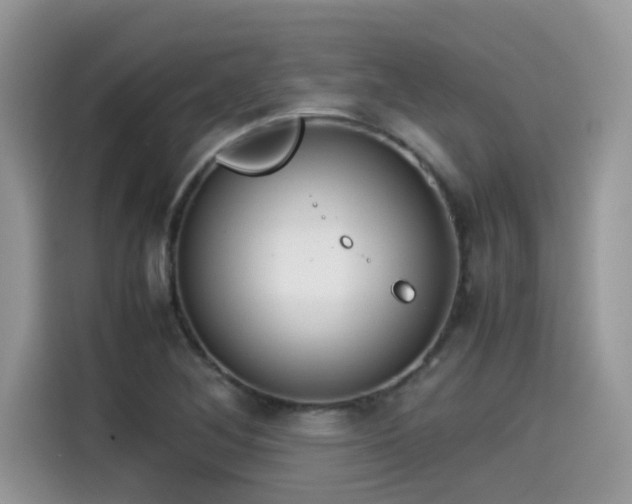 X0000115541268200911131537