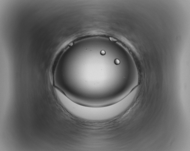 X0000115541269200911131537