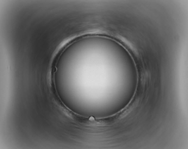 X0000115541270200911131537