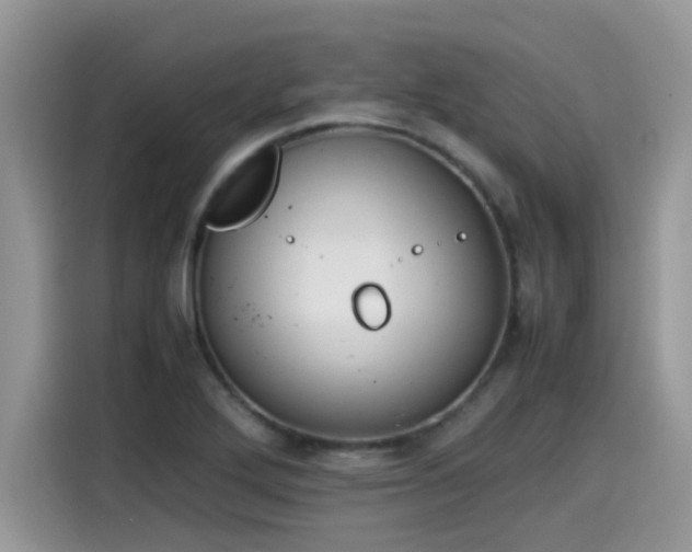 X0000115541272200911131537