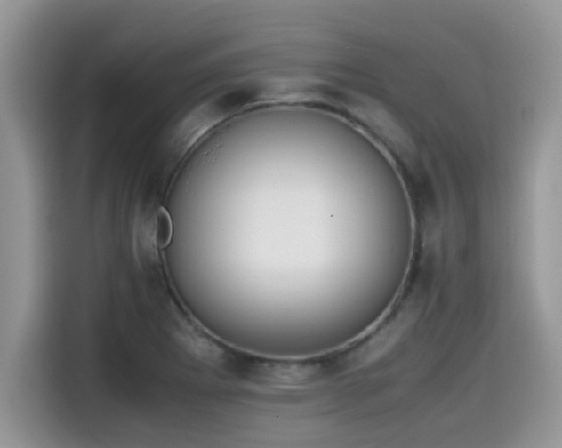 X0000115541273200911131537