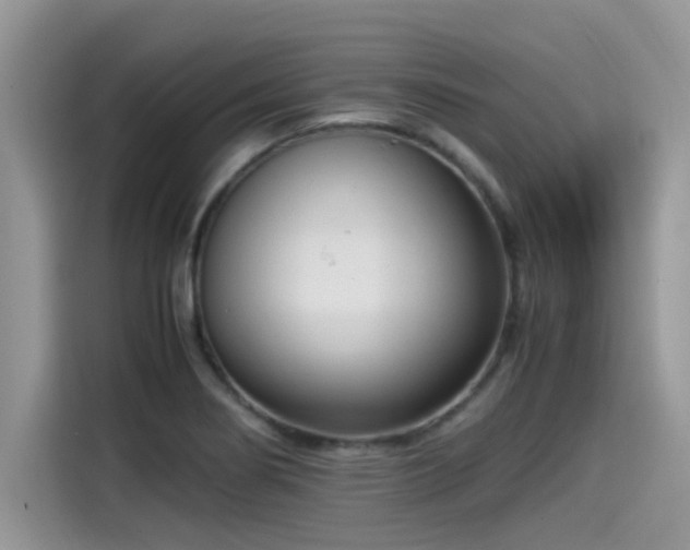 X0000115541274200911131537