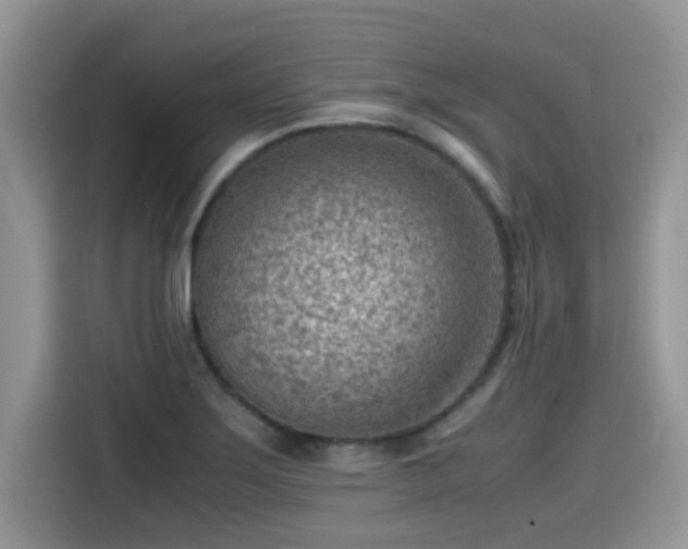 X0000115541275200911131537