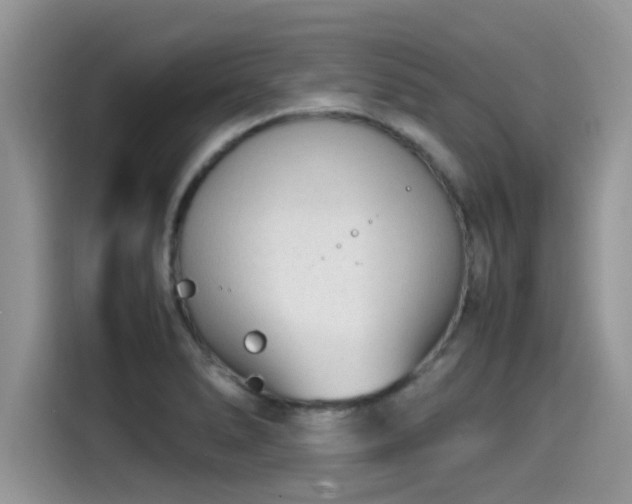 X0000115541278200911131537