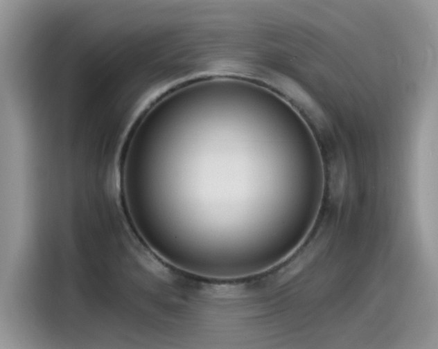 X0000115541280200911131537