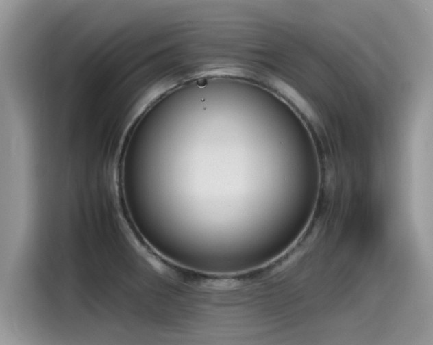 X0000115541282200911131537