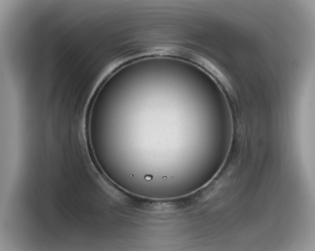 X0000115541283200911131537