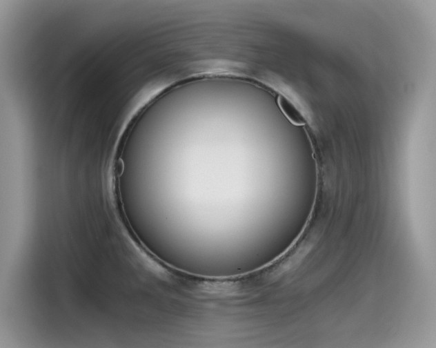 X0000115541285200911131537