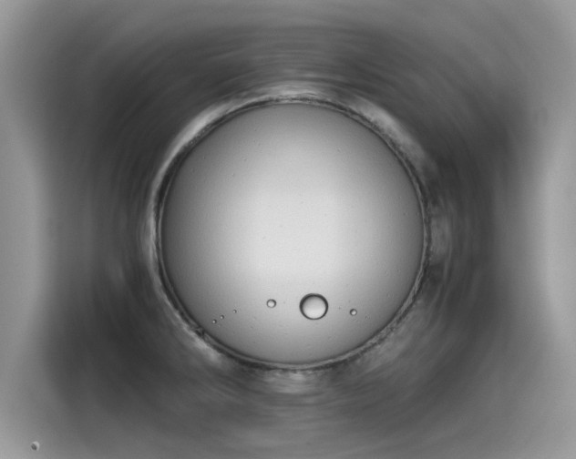 X0000115541286200911131537