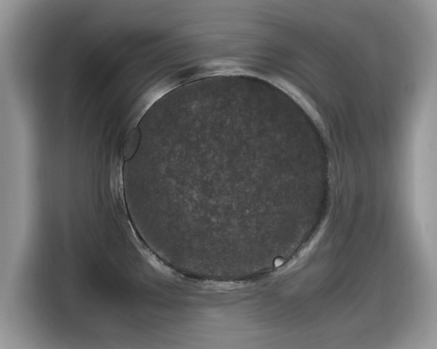 X0000115541289200911131537