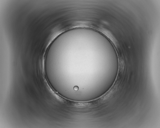 X0000115541290200911131537