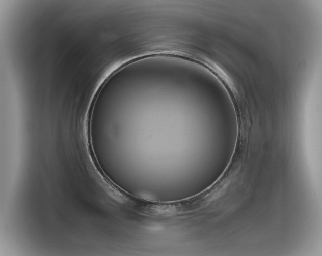 X0000115541291200911131537