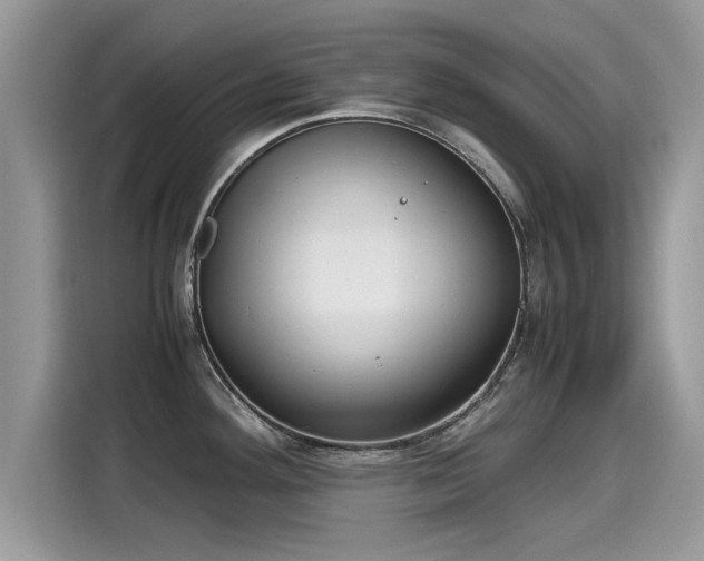 X0000115541292200911131536