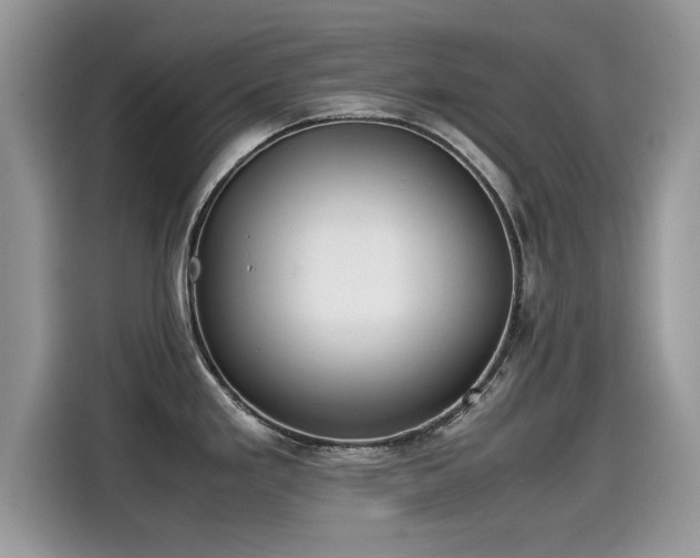 X0000115541293200911131536